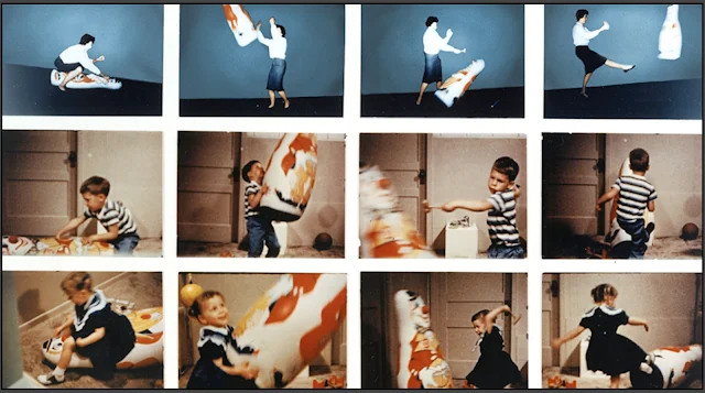 Visual for this record: The Bobo doll studies showed children copy modelled acts