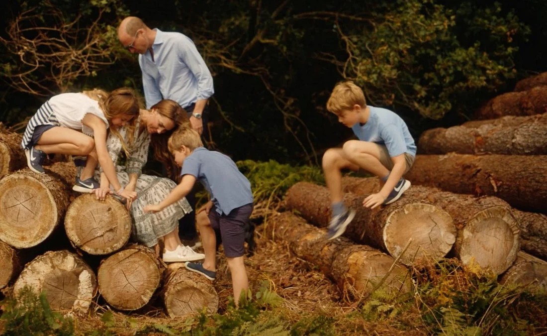 Visual for this record: Actual play-time logs found a tiny positive link to wellbeing